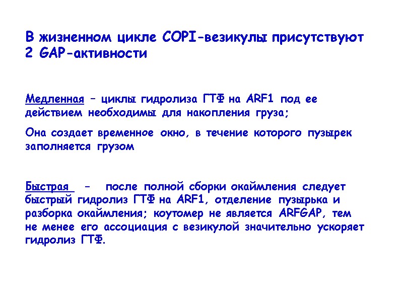 В жизненном цикле COPI-везикулы присутствуют 2 GAP-активности  Медленная – циклы гидролиза ГТФ на